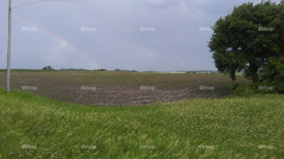 Landscape, No Person, Agriculture, Farm, Cropland