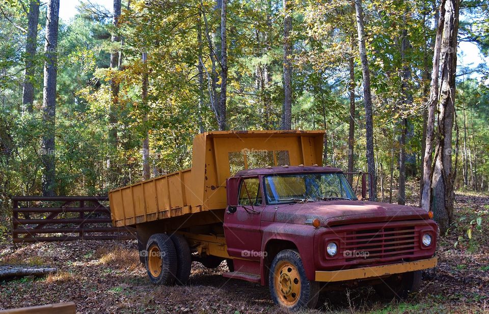 Abandoned Dump Truck