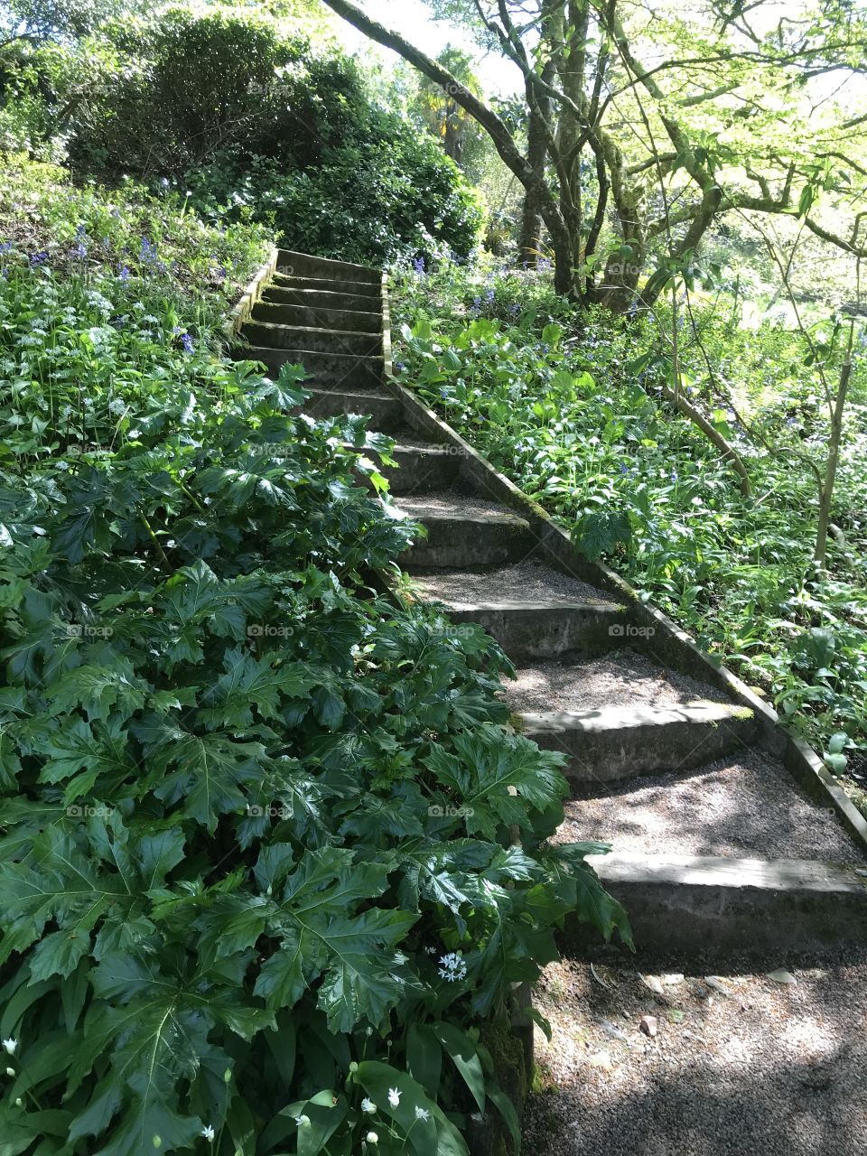 Some wonderful steps to take amidst a glorious day of rare sunshine for May 2018.