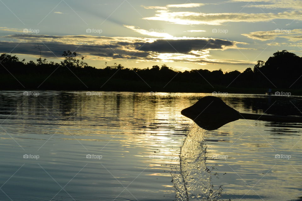 Amazon river and paddle