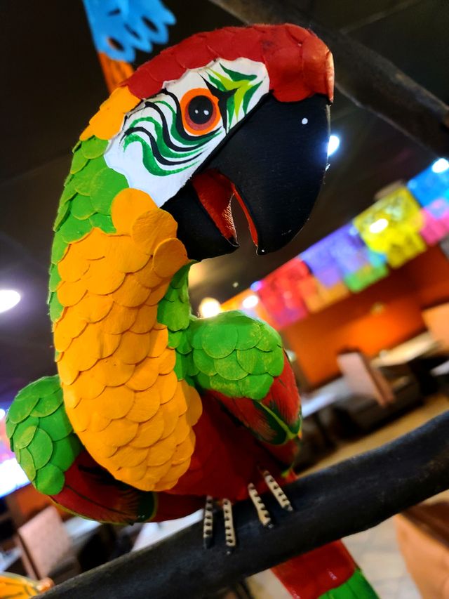5 DE MAYO
