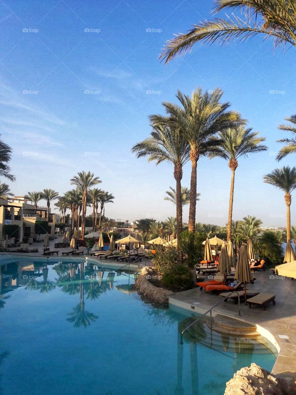 swimming pool in Grand Hotel Sharm el Sheikh