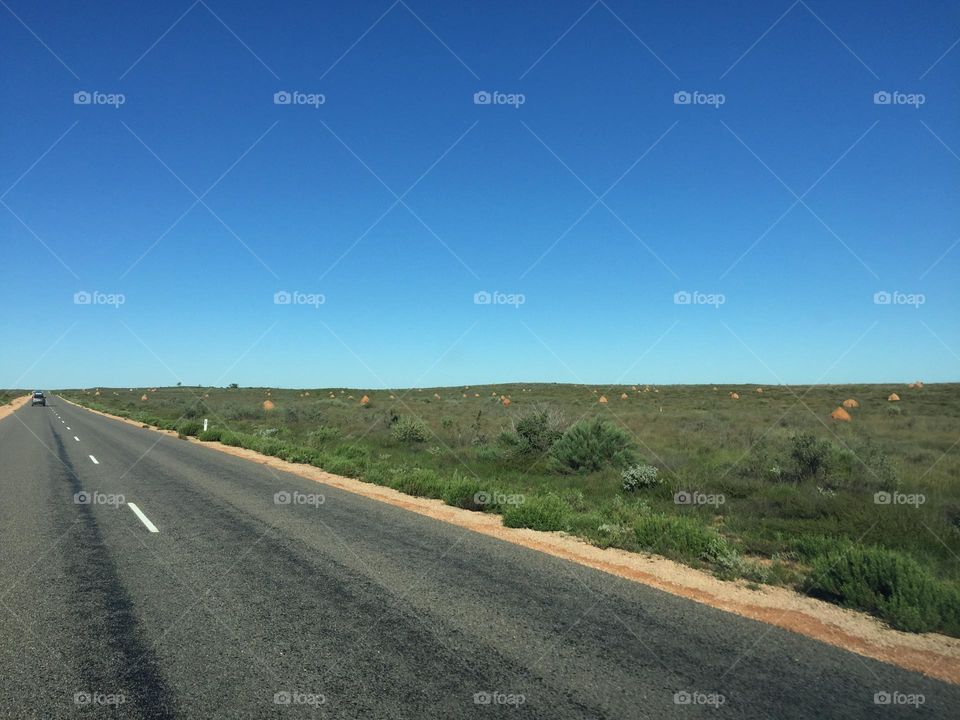 Anyone can take nice photos, and smartphones have made it that much easier. Smartphones are great tools for getting a quick snapshot. Smartphones have become my main cameras.