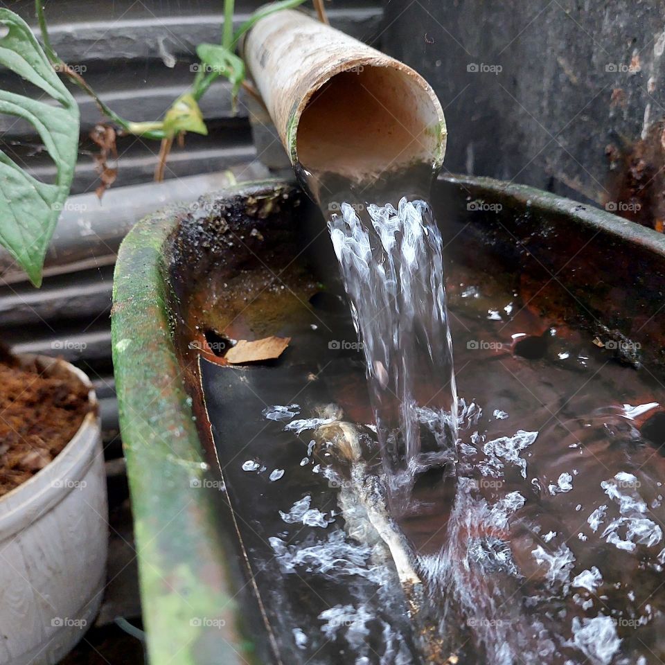 Water flows from mountain springs