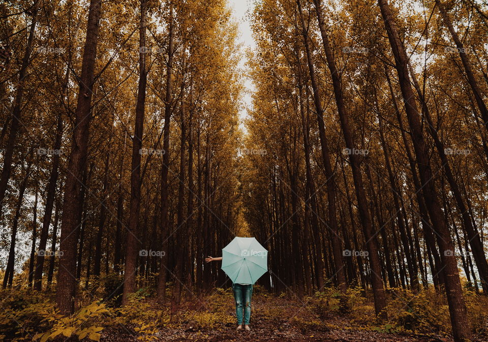 Woman holding umbrella standing in forest