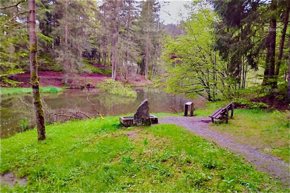 This is the “Eging Lake”, the “Eginger See” in the “Bavarian Forest”, the “Bayerischer Wald” near the town of “Eging”. Two benches invite to take a rest and enjoy the sights. 2024. Hypnotic Productions