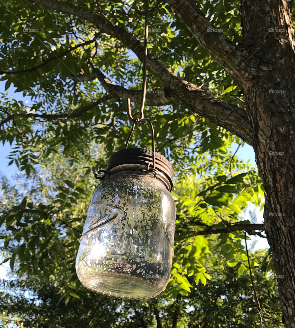 Glass jar bird  feeder hanging from a tree 