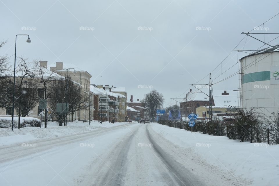 Winter, Snow, Environment, Weather, Cold