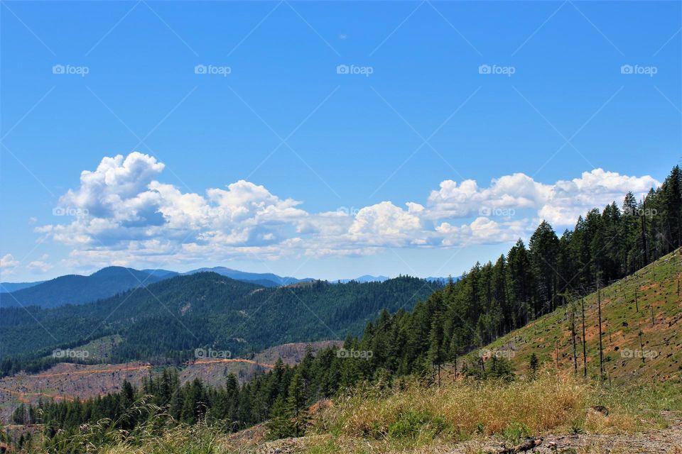 Awe Struck Valleys; Mountains, Trees, and Blue, Cloudy sky