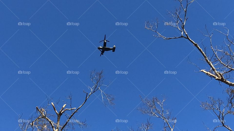 Florida Strong - We Will Rebuild
