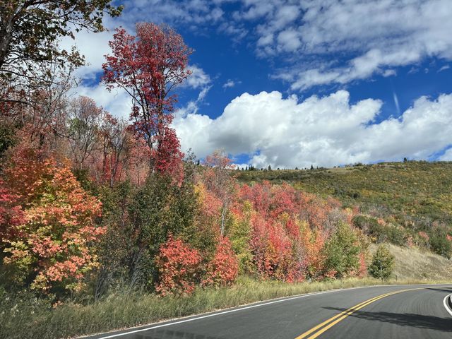 Fall