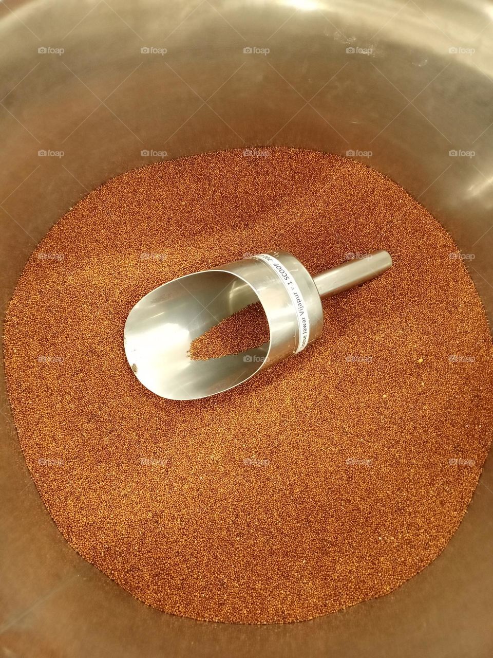 jowar in a metal spoon clousup photo