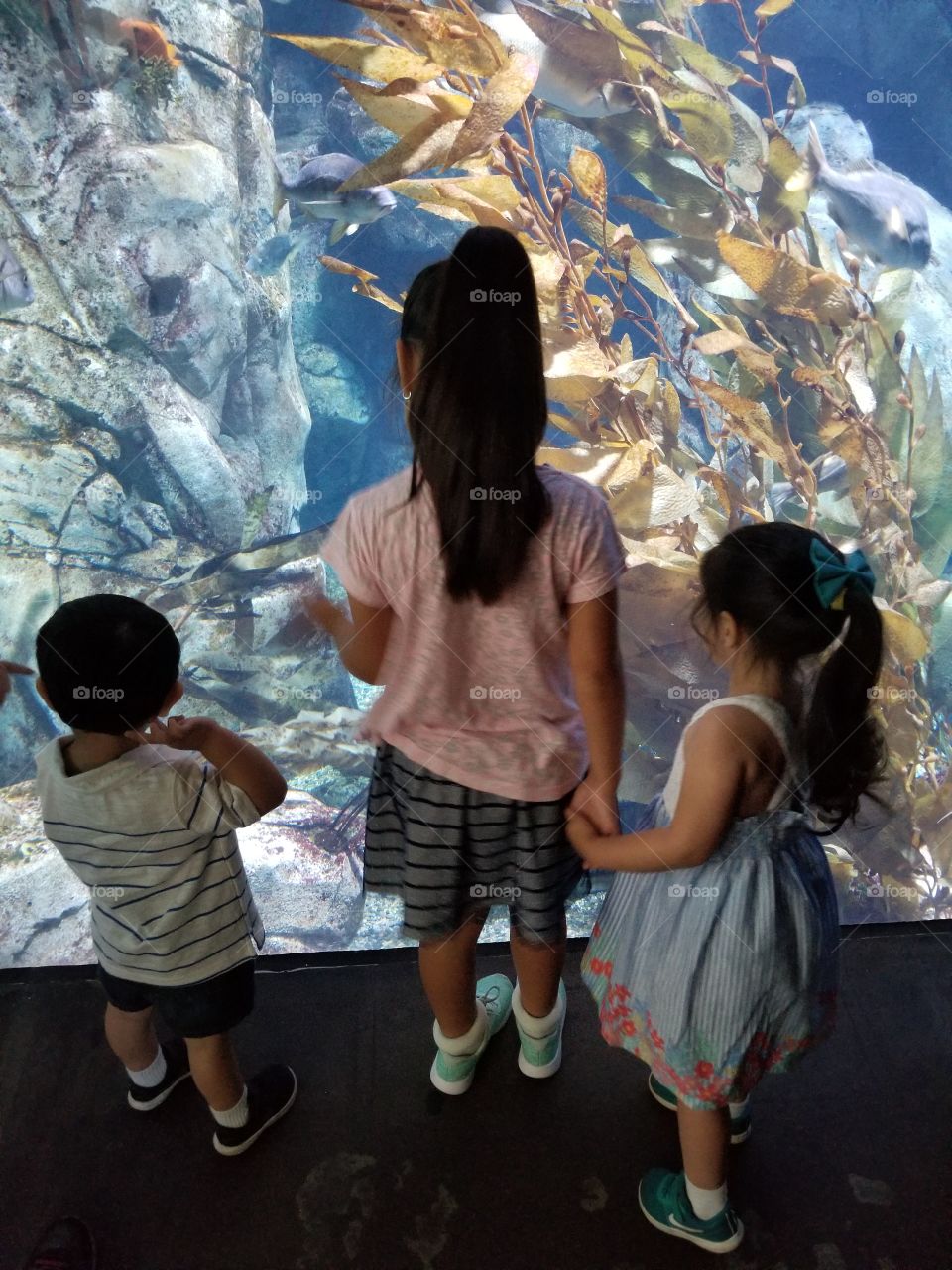 Kids enjoying sealife museum