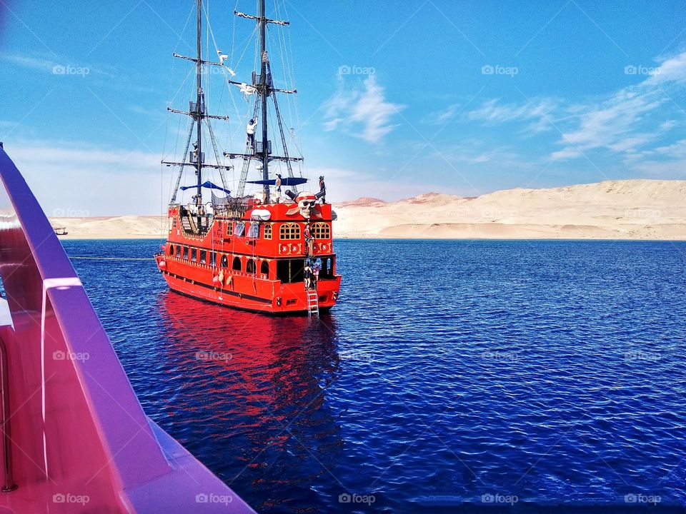 editors Choice photo on the week