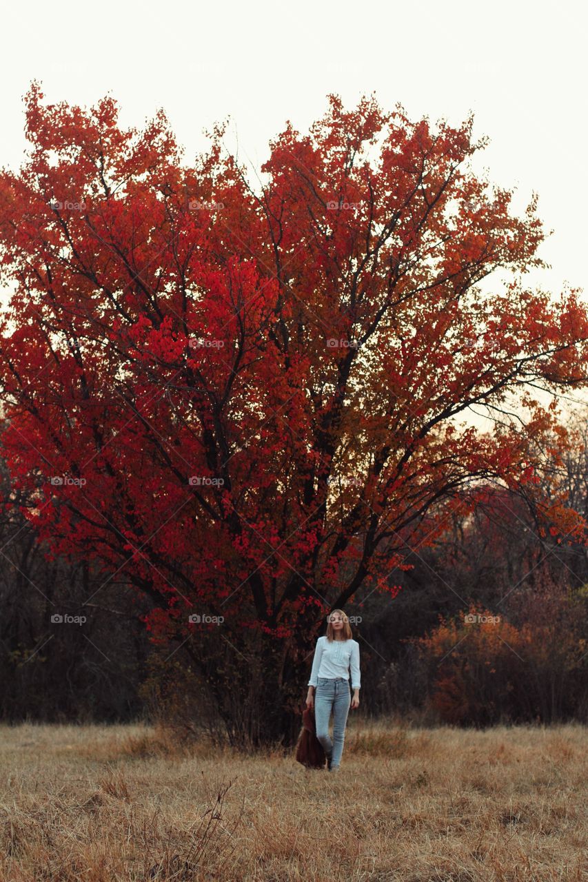 A girl in a white blouse stands under apricot with red leaves in an autumn garden