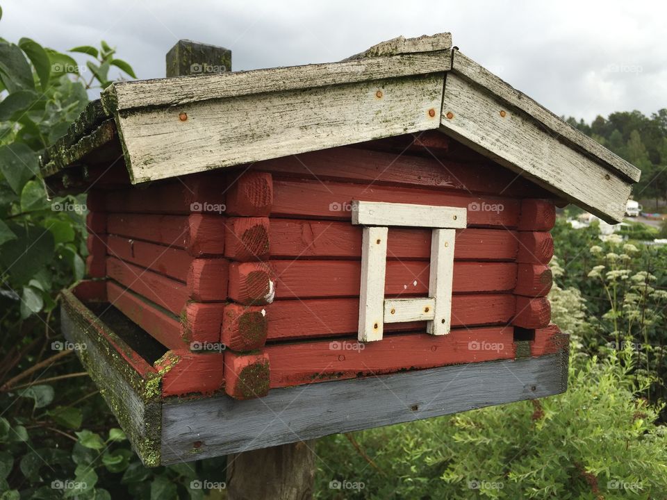 Birdhouse in the garden 