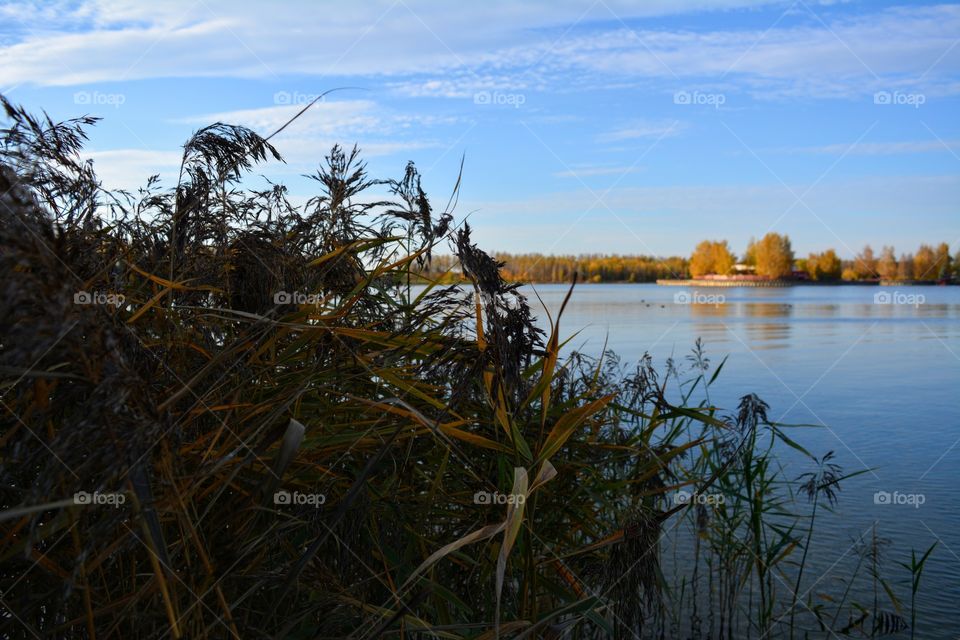 beautiful landscape lake shore blue sky background autumn time