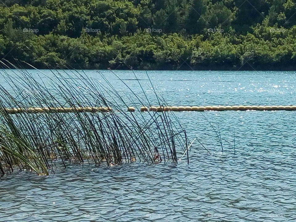 River Krka