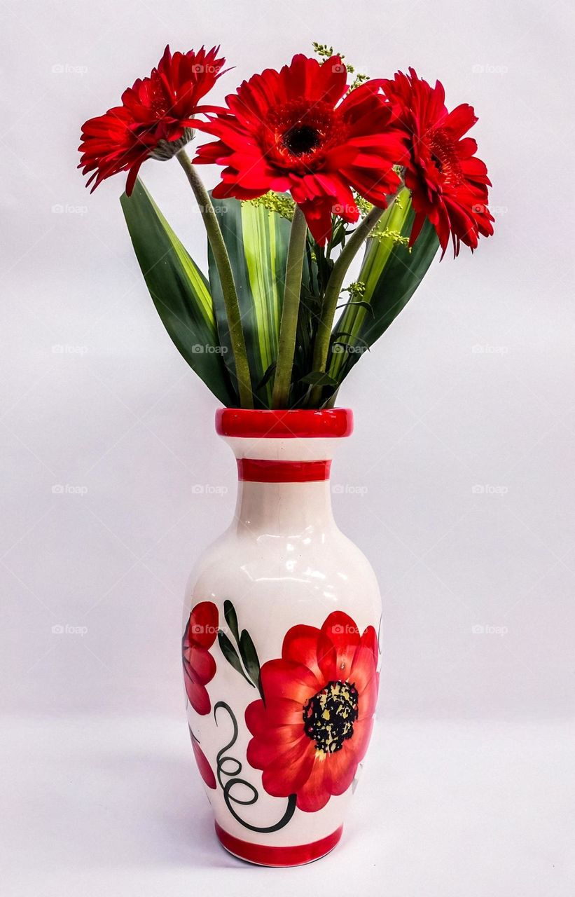 red flowers in vase of the same type of flower, on a white background