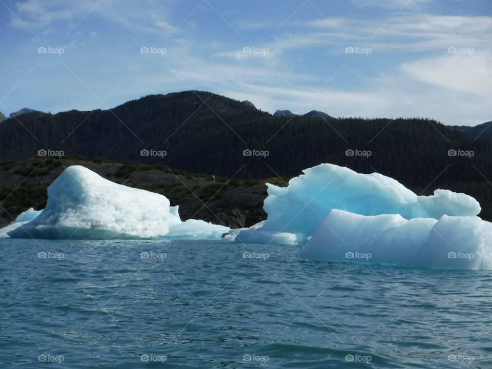 Icebergs 