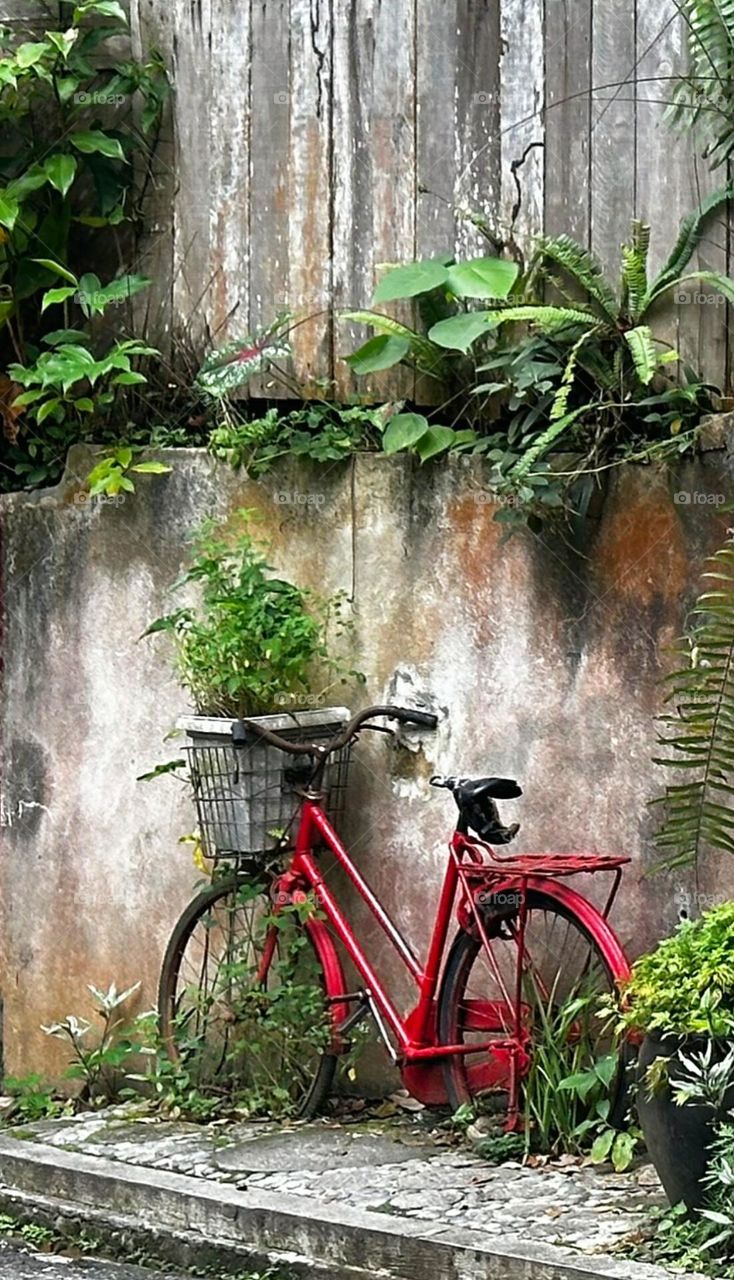 Lonely Bicycle