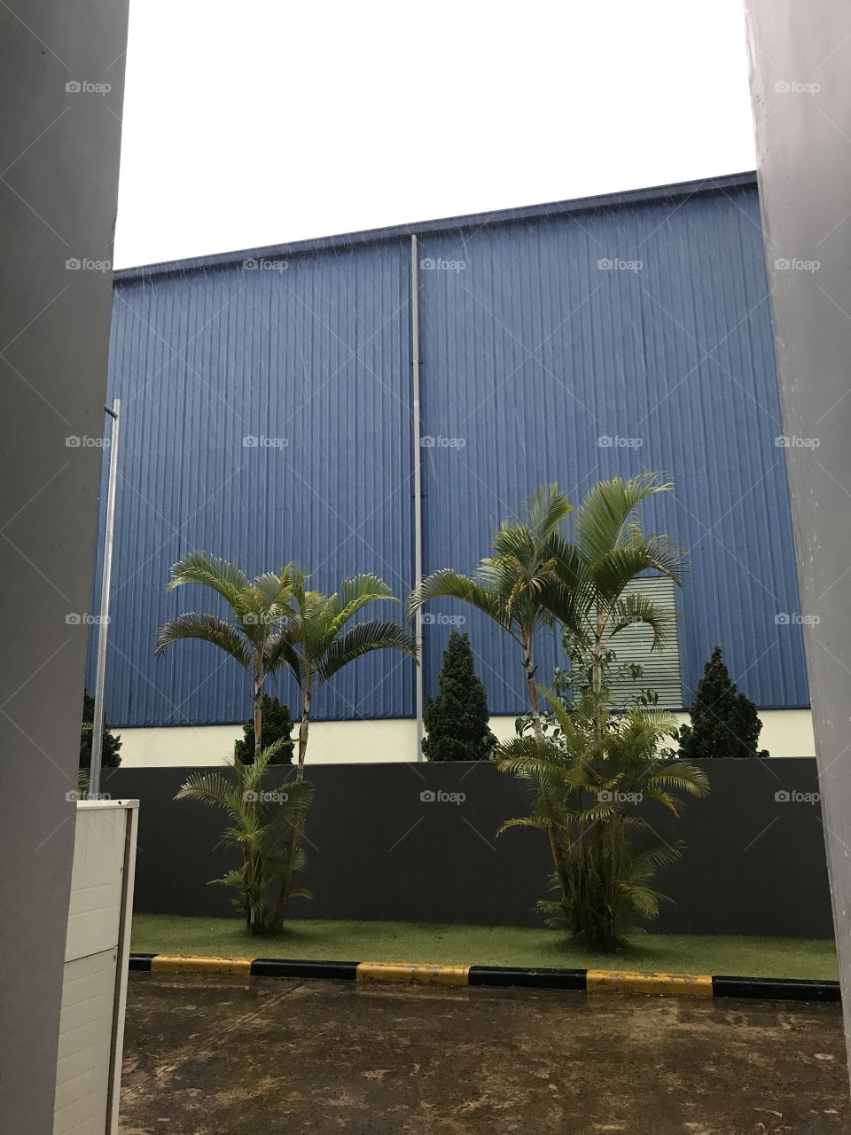 House, Beach, Architecture, Window, Tree