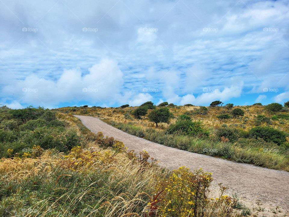 Walk through the dunes to the beach of Burgh Haamstede in the Netherlands is one of the most beautiful walks throuhg purest nature