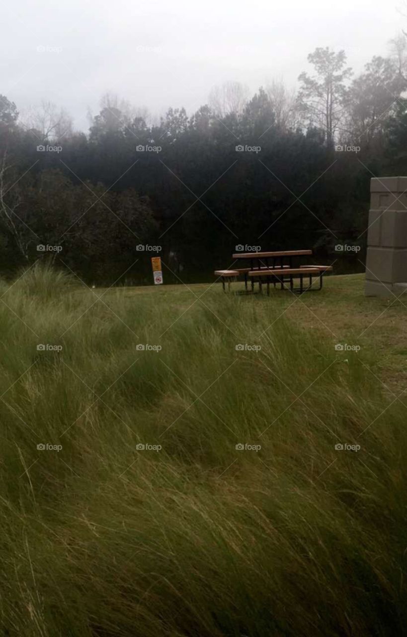 The lonely sitting area is empty and craving some life nearby. Please put the table to use