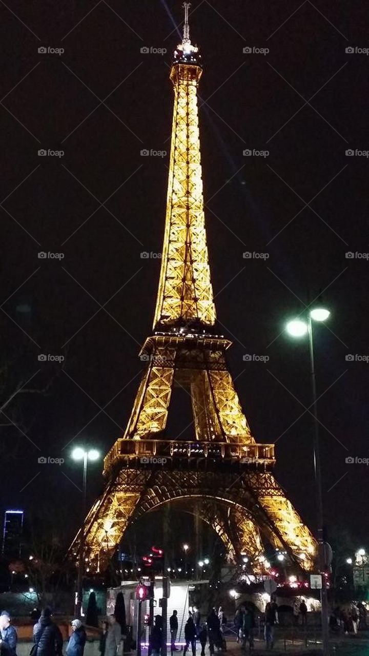 paris tower 