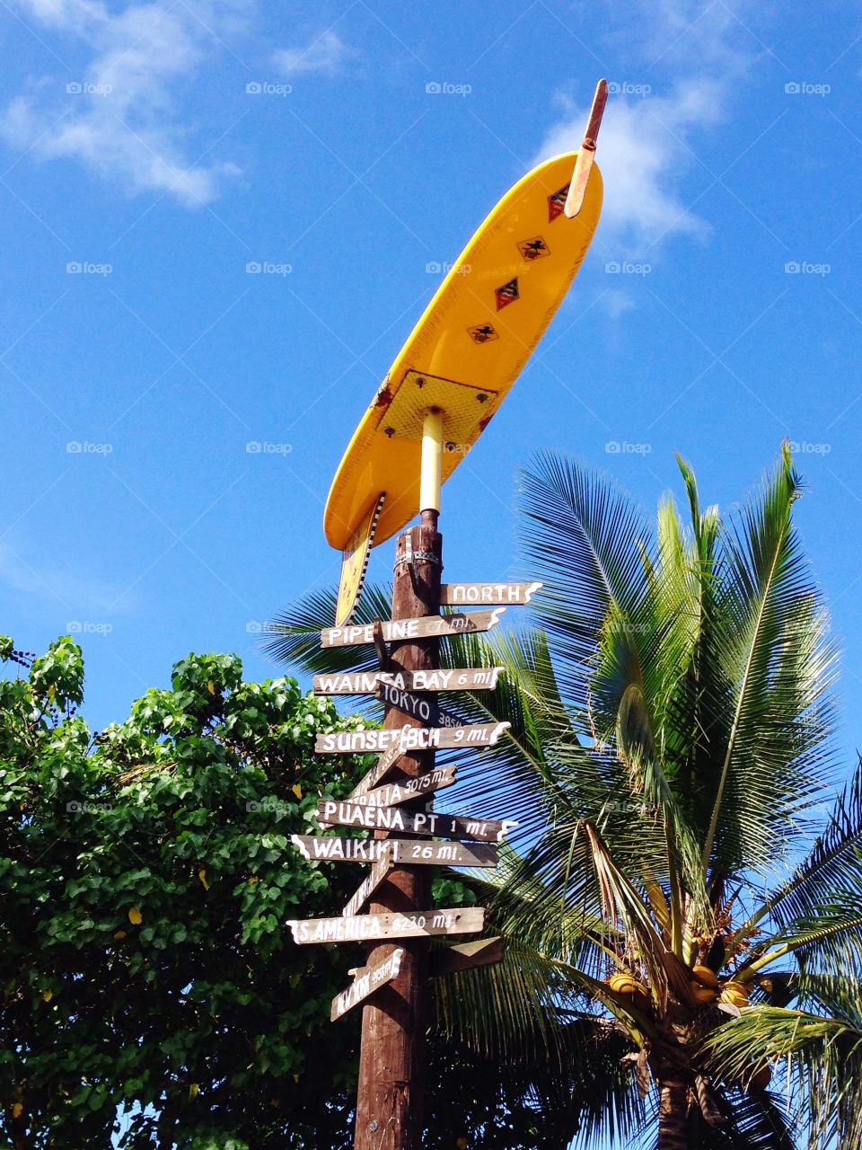 Surf Signs, Hawaii 