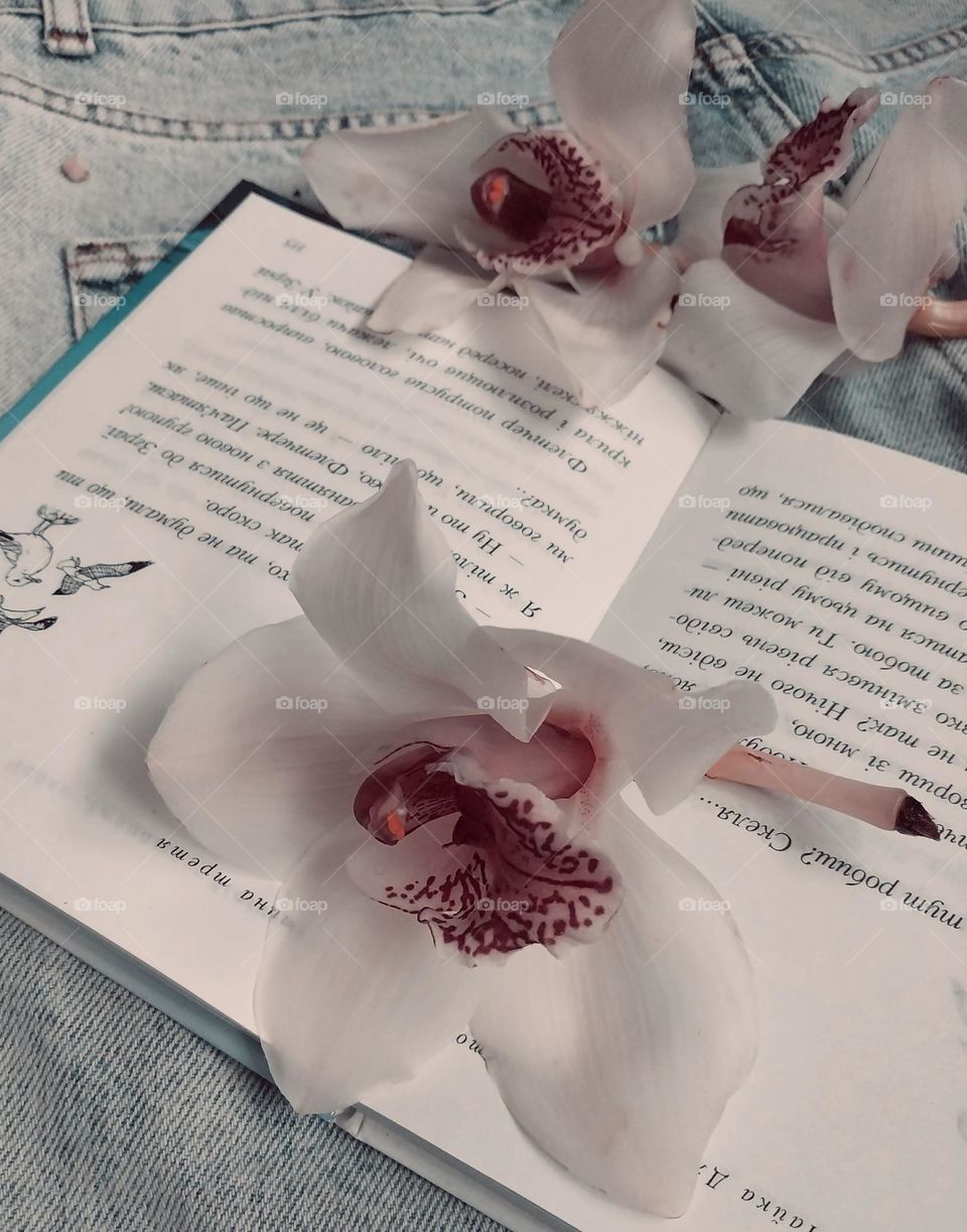 open book and a flower