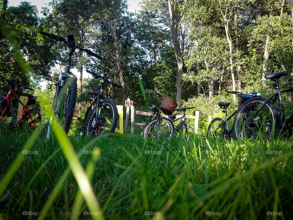 bikes in the grass
