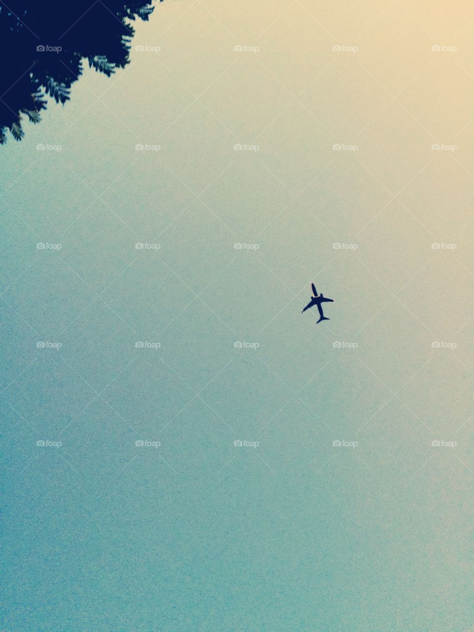 Aeroplane. Sky