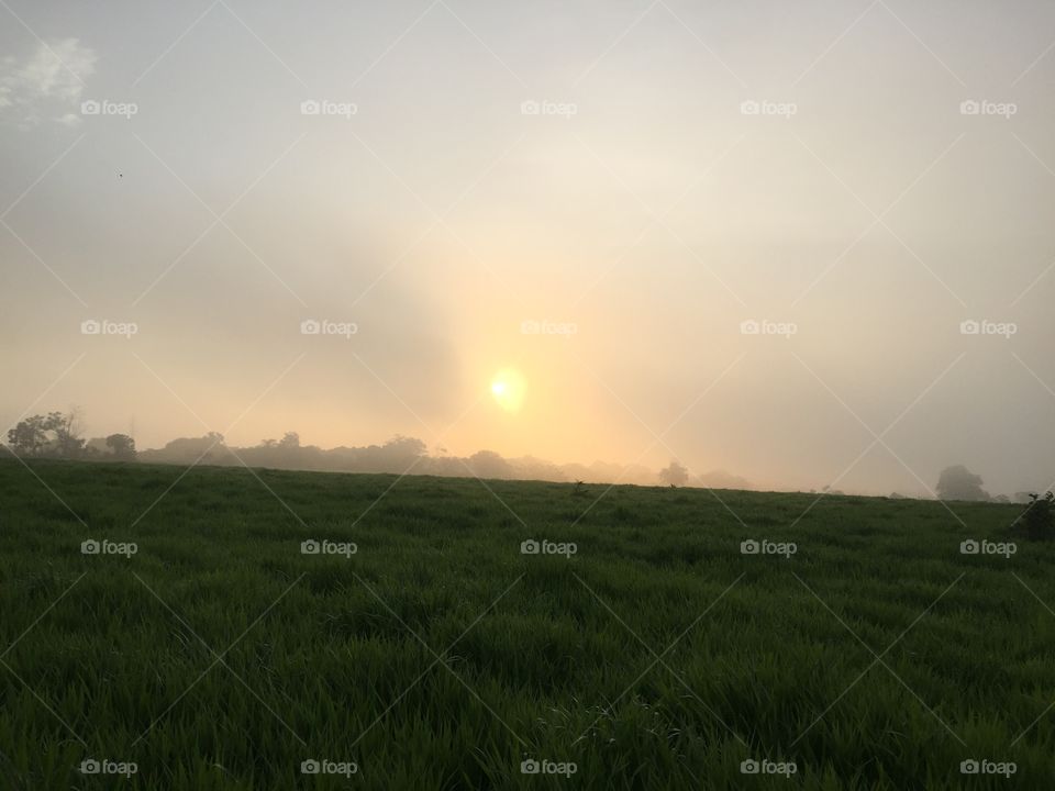 Landscape, Sunset, Sun, Dawn, Field