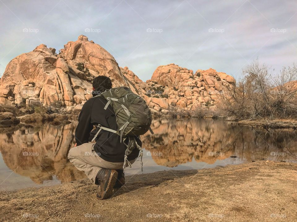 Joshua Tree 