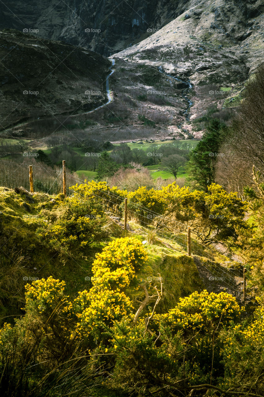 Landscape, Nature, No Person, Mountain, Tree