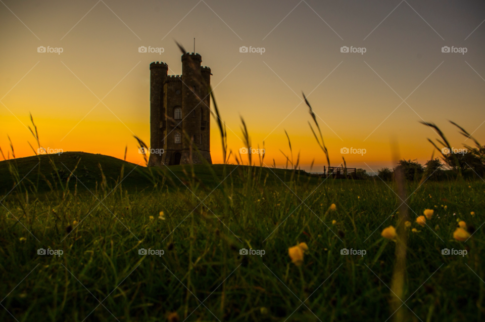 Sunset, Grass, Field, Landscape, Evening