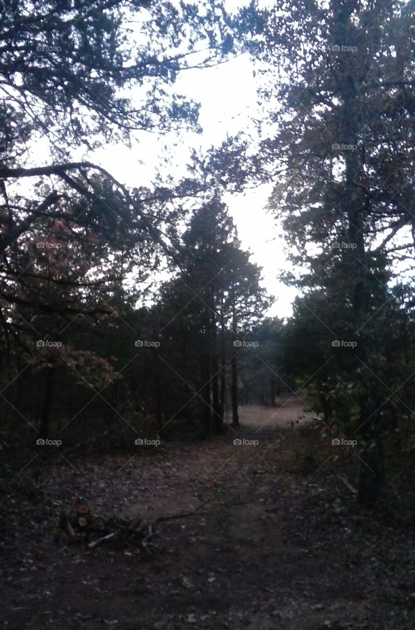 part of the drive way