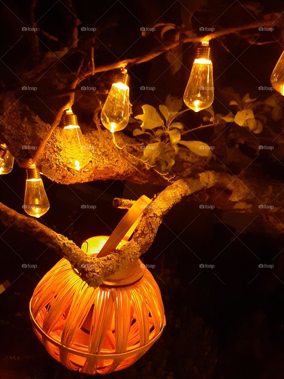 Nights in White Satin