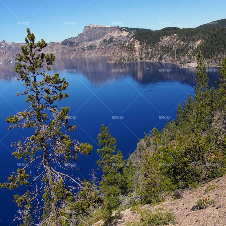 The jagged rim reflecting into the rich blue waters of Crater Lake in Southern Oregon on a beautiful summer morning with perfect clear blue skies. 