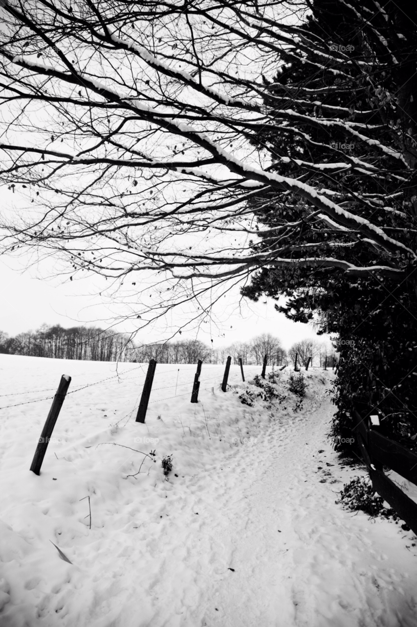 ronse snow winter greyscale by ilsem16