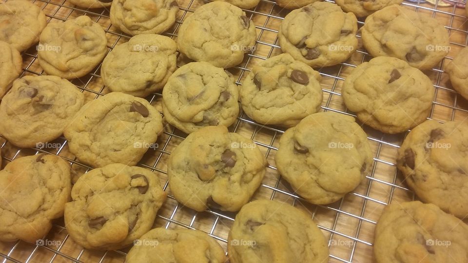 chocolate chip cookies