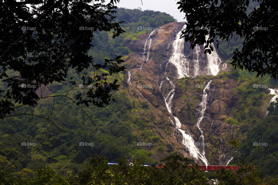 Waterfalls though forest