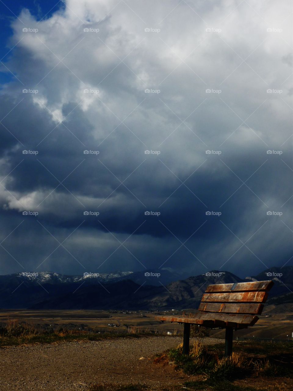 bench under the storm