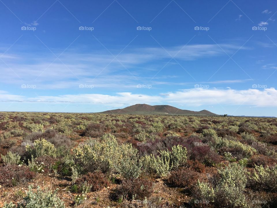 View of Australian outback