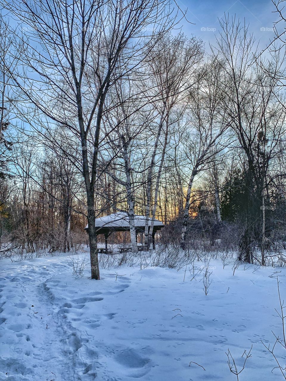 A gazebo in a snowy forest at sunset.