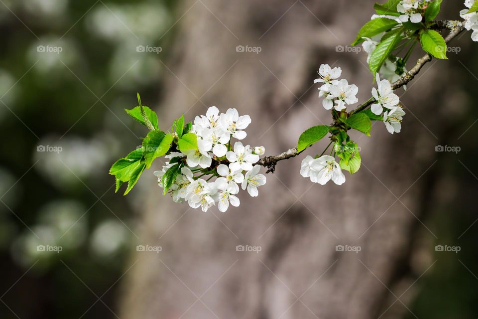 classic spring colors
