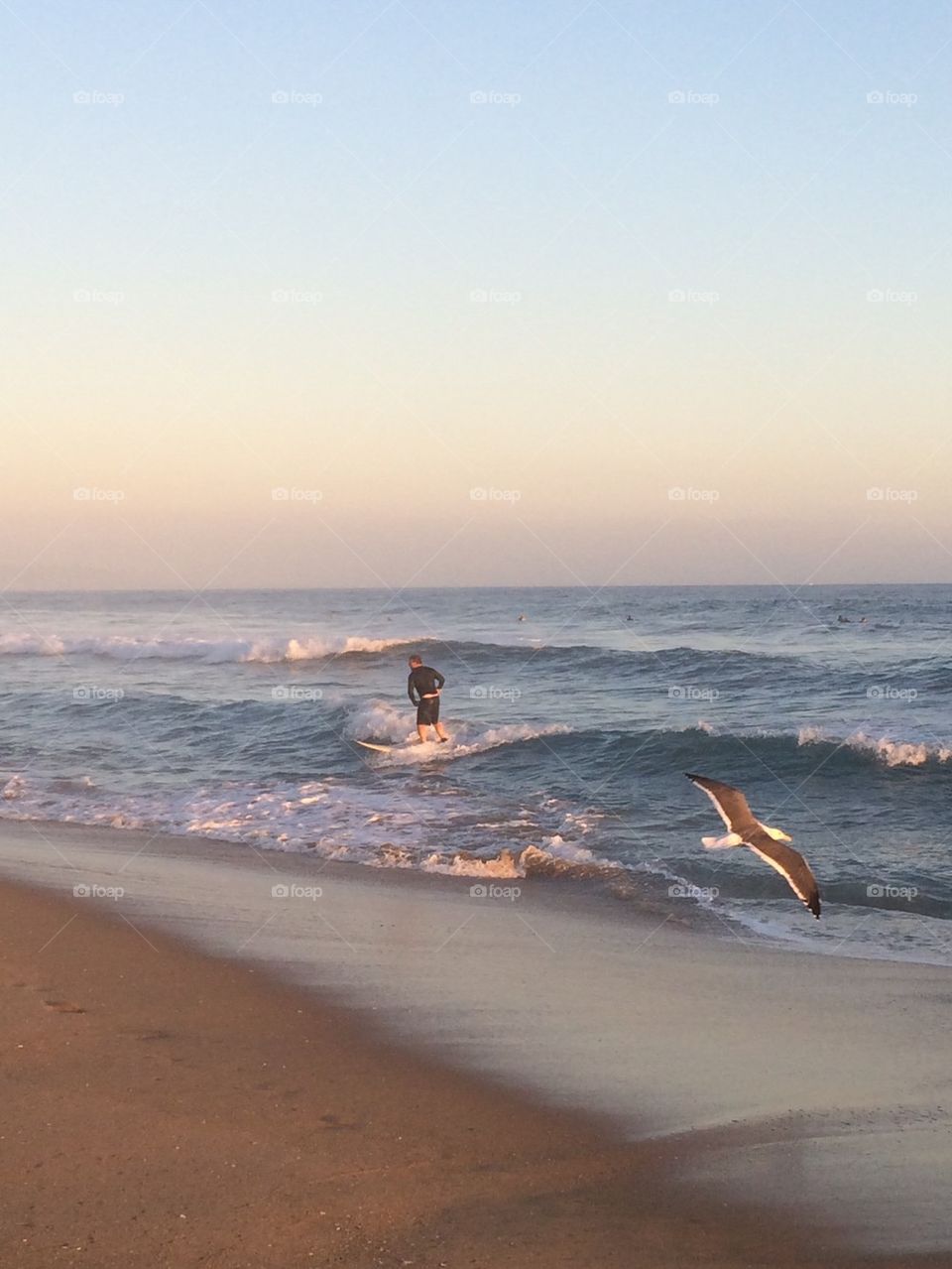 Surfer riding a Wave