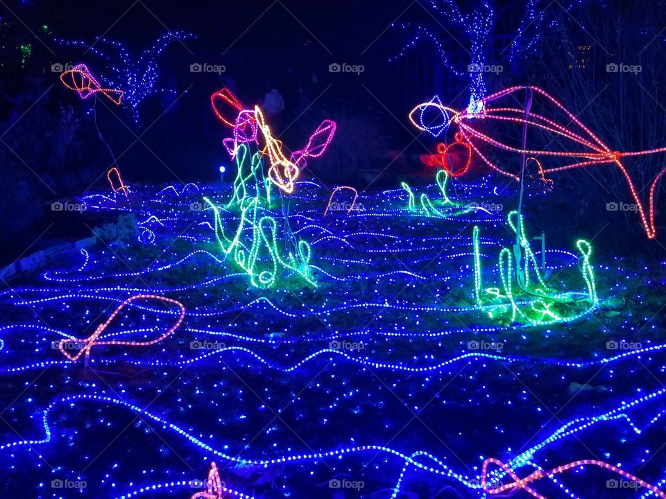 Christmas Lights. Light display