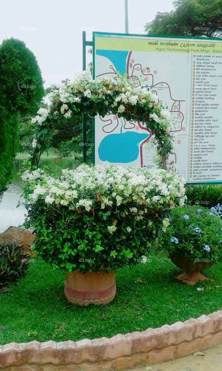 AGRO TECHNOLOGY PARK-Bata